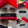 CARTIER_PANTHER_GOLDBROWN_SHADED