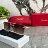 CARTIER_PANTHER_GOLDBROWN_SHADED